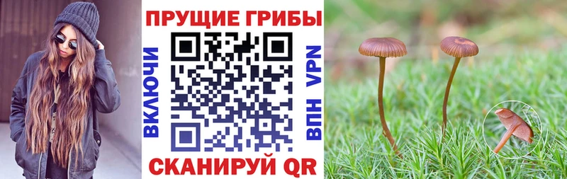 Галлюциногенные грибы ЛСД  omg онион  Инсар 